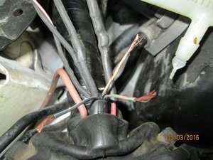 IMG_0784.JPG