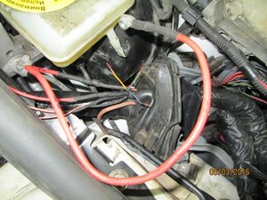 IMG_0785.JPG