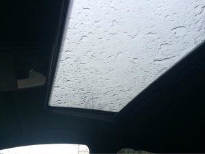 IMG_0581.jpg
