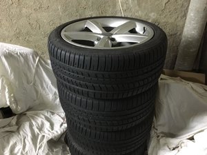 IMG_3921.jpg