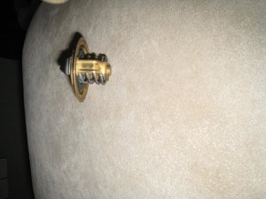 IMG_4516.jpg