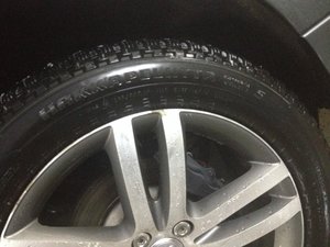 IMG_7223.jpg