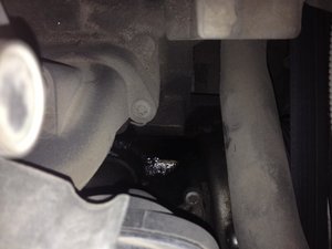 IMG_1968.jpg