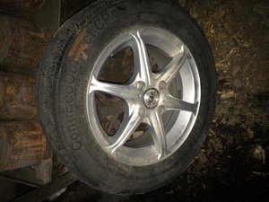 IMG_1239.jpg