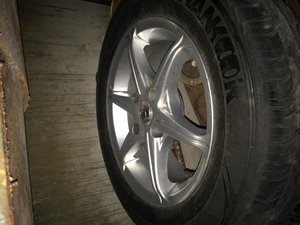 IMG_1242.jpg