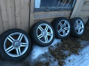 IMG_0528.jpg