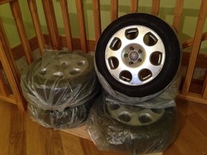 IMG_1174.jpg