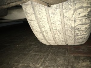 IMG_0264[1].jpg