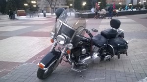 WP_20160313_001.jpg