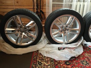 IMG_0194.jpg