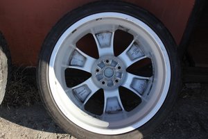 IMG_8972.jpg