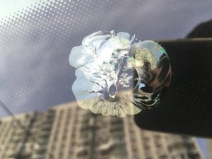 ImageUploadedByTapatalk1458628950.278427.jpg