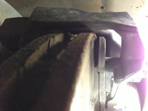 IMG_1424[1].jpg