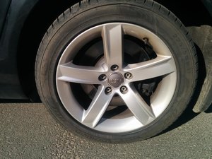 IMG_20160322_144955.jpg