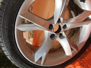 IMG_5672.jpg