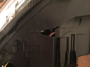 IMG_0732.jpg