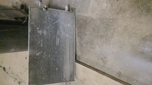 DSC_1504.jpg