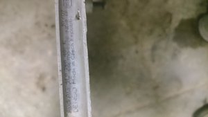 DSC_1503.jpg