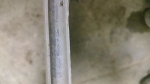 DSC_1502.jpg