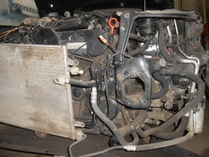 DSCN1981.JPG