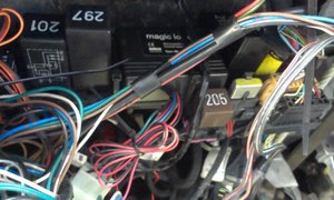 IMAG0083.jpg