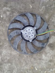 1459429601840-593593157.jpg