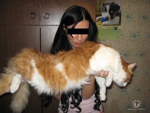 Д.jpg