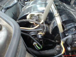 DSC00004.JPG