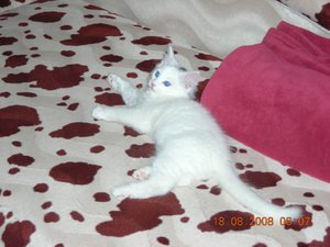 DSCN0750_2.JPG