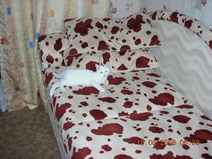 DSCN0754_2.JPG