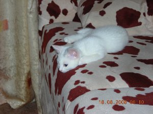DSCN0755_2.JPG
