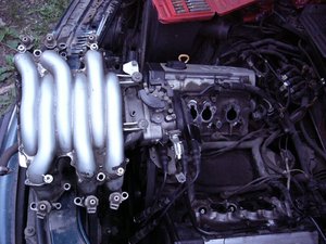 P1010385_1.jpg