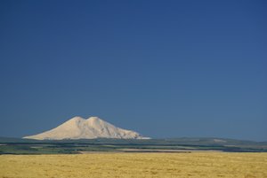 DSC06477.JPG