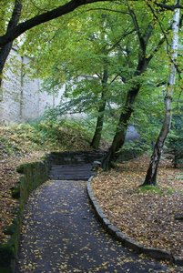 DSC08426.JPG