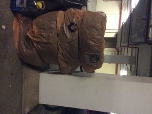 IMG_3973.jpg