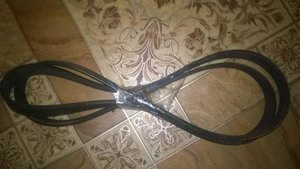 WP_20160401_006.jpg