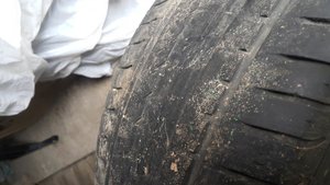 20160402_152550.jpg
