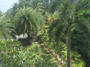 2016-04-04 14.34.06 HDR-2.jpg
