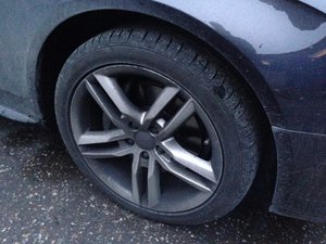 IMG_2288.jpg