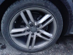 IMG_2290.jpg