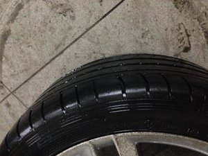 IMG_2294.jpg