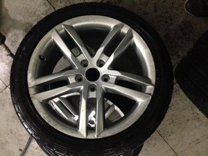 IMG_2295.jpg