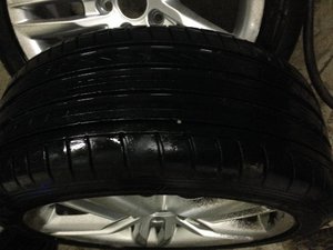 IMG_2296.jpg