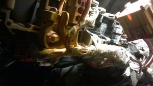WP_20160406_002.jpg