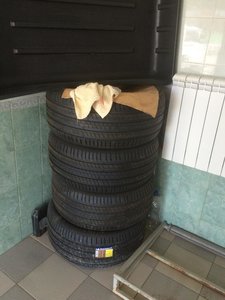 IMG_0810.jpg
