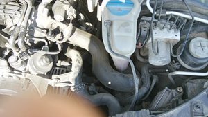 DSC_6624.jpg