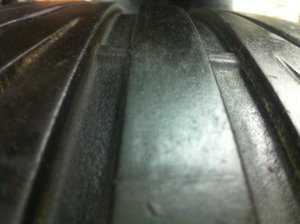 IMG_3114.jpg