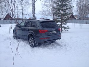 IMG_7235.jpg