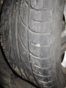 IMG_1515.jpg