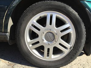 IMG_1313.jpg